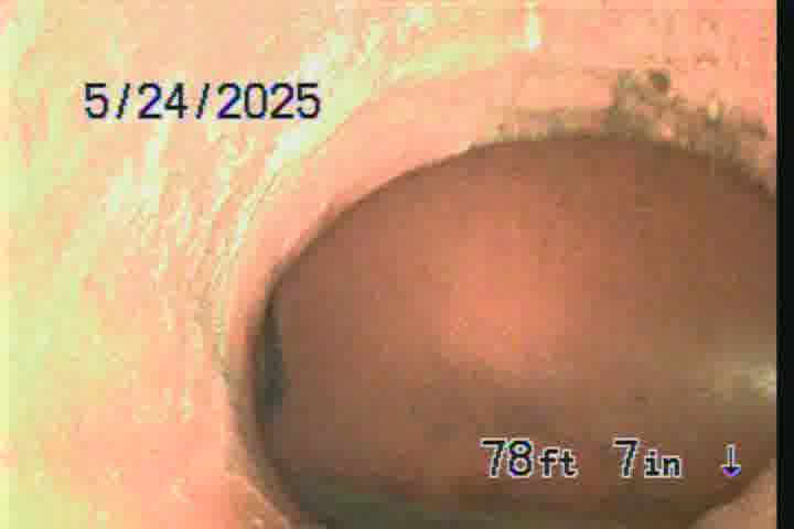 Frame